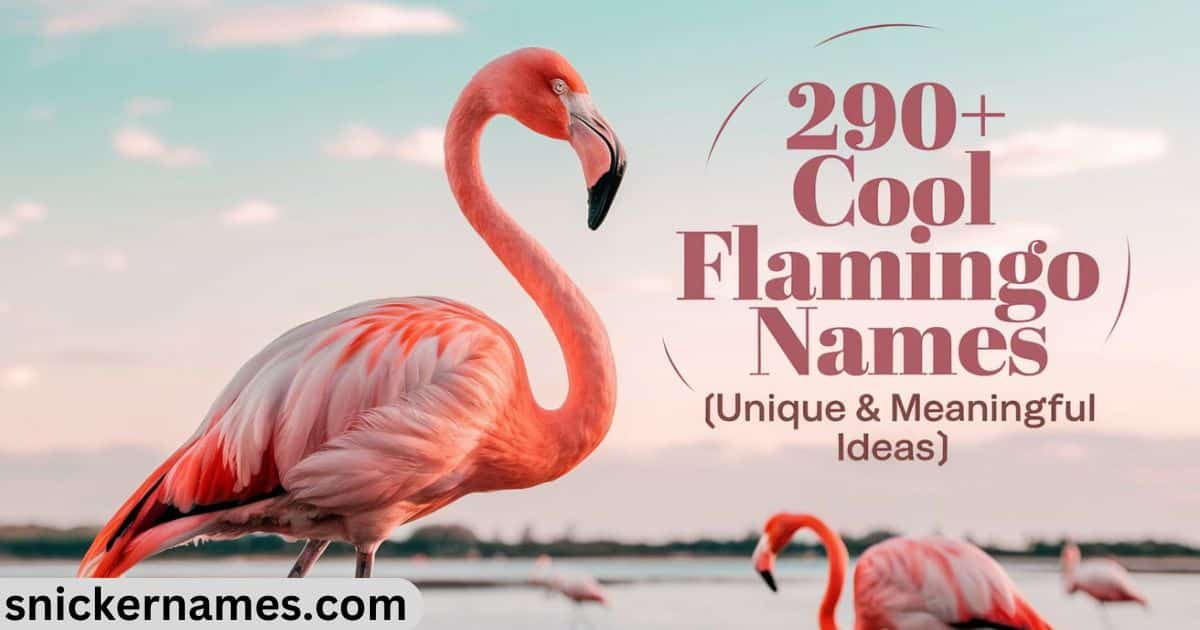 280+ Cool Flamingo Names [Unique & Meaningful Ideas]