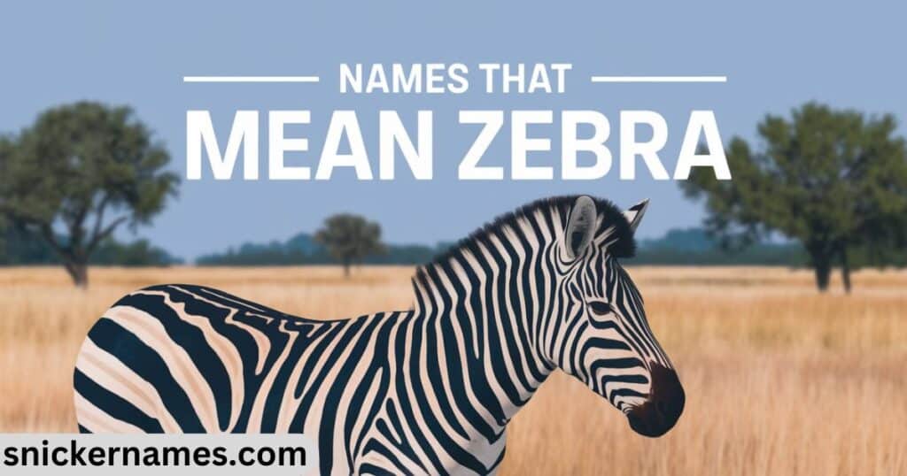 Names That Mean Zebra