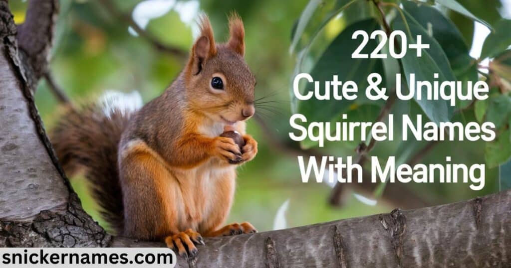 220+ Cute & Unique Squirrel Names with Meaning