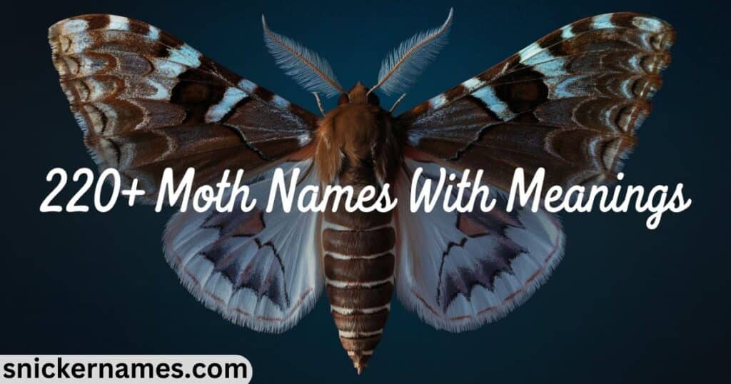 220+ Moth Names with Meanings