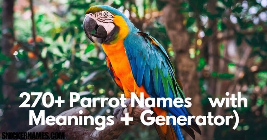 270+ Parrot Names with Meanings (+Generator)