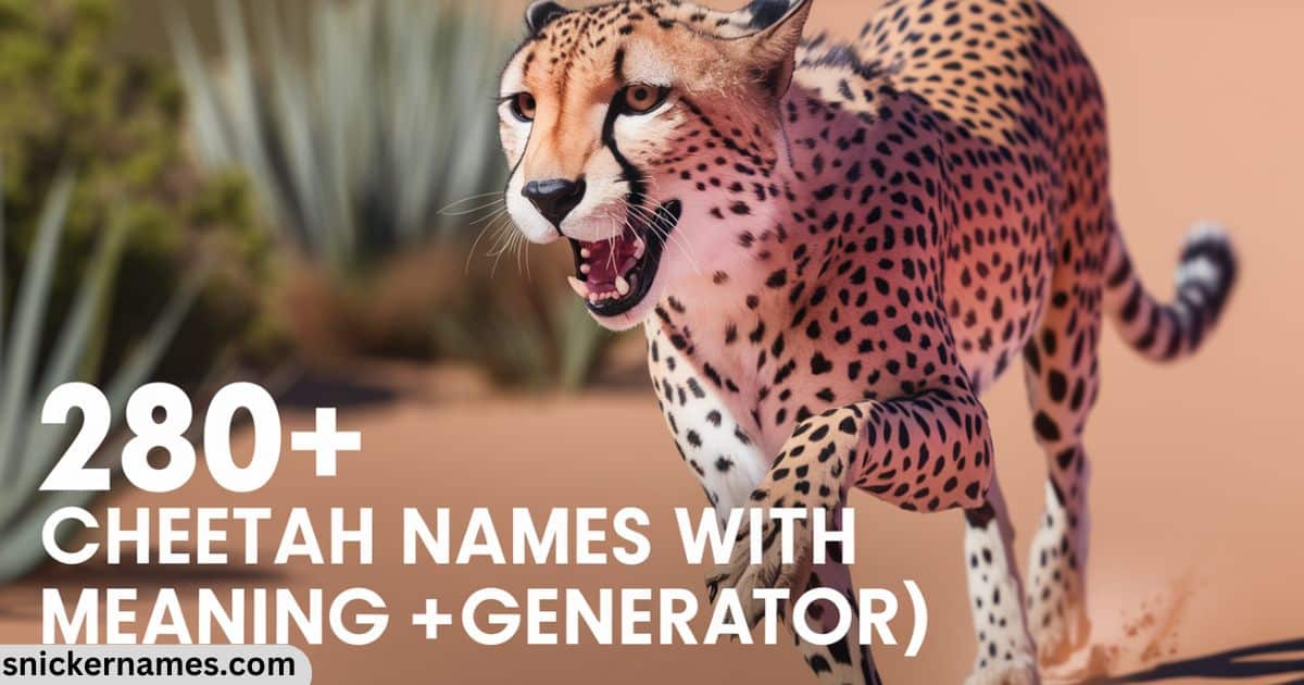 280+ Cheetah Names with Meaning (+Generator)