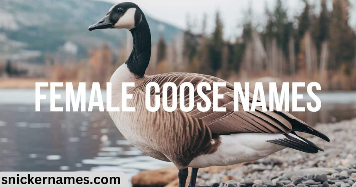 Female Goose Names