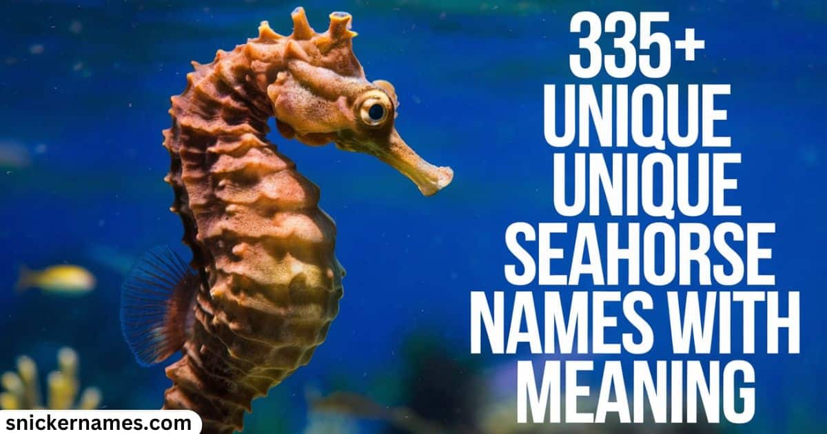 335+ Unique Seahorse Names with Meaning