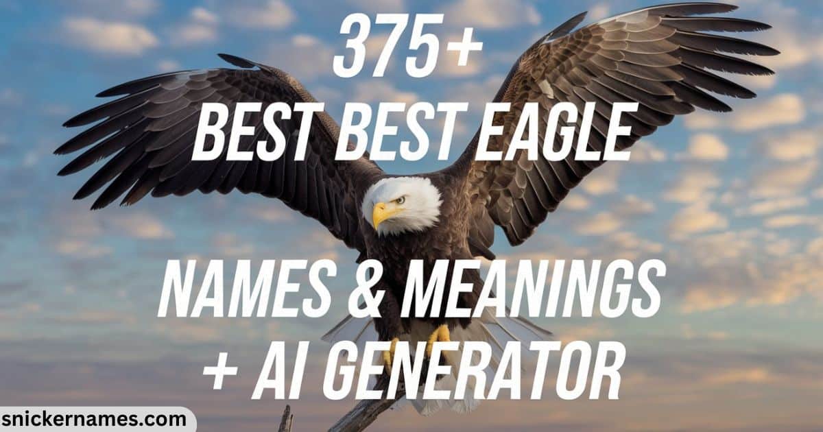 375+ Best Eagle Names & Meanings + AI Generator