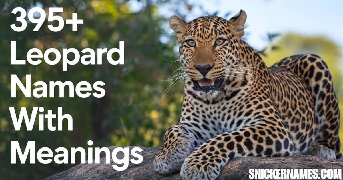 395+ Leopard Names with Meanings