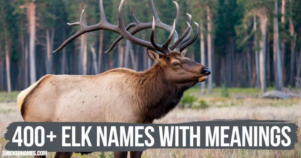 400+ Elk Names with Meanings