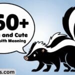 460+ Unique and Cute Skunk Names With Meaning