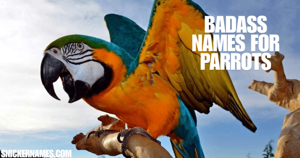 Badass Names for Parrots