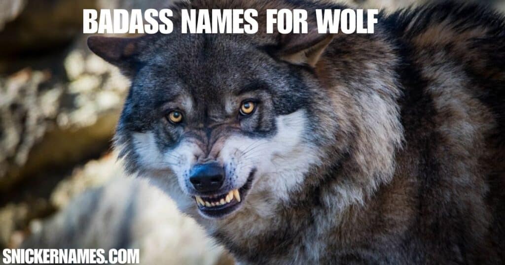 Badass Names for Wolf