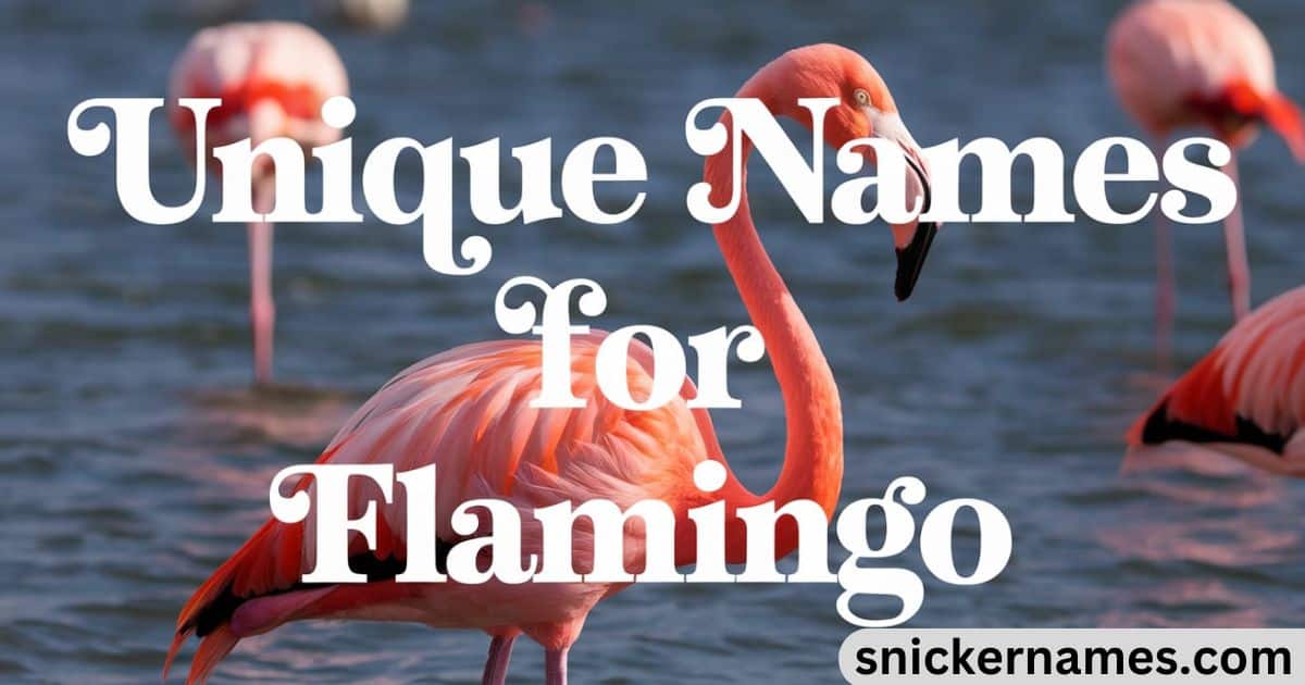 Unique Names for Flamingo