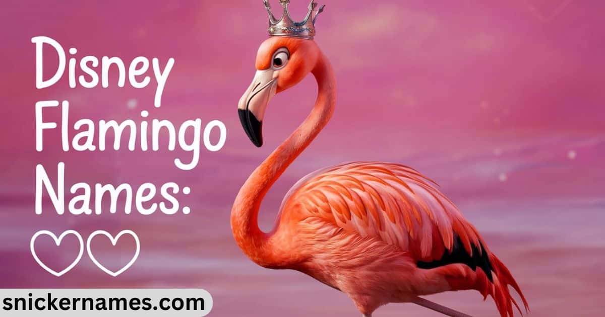 Disney Flamingo Names