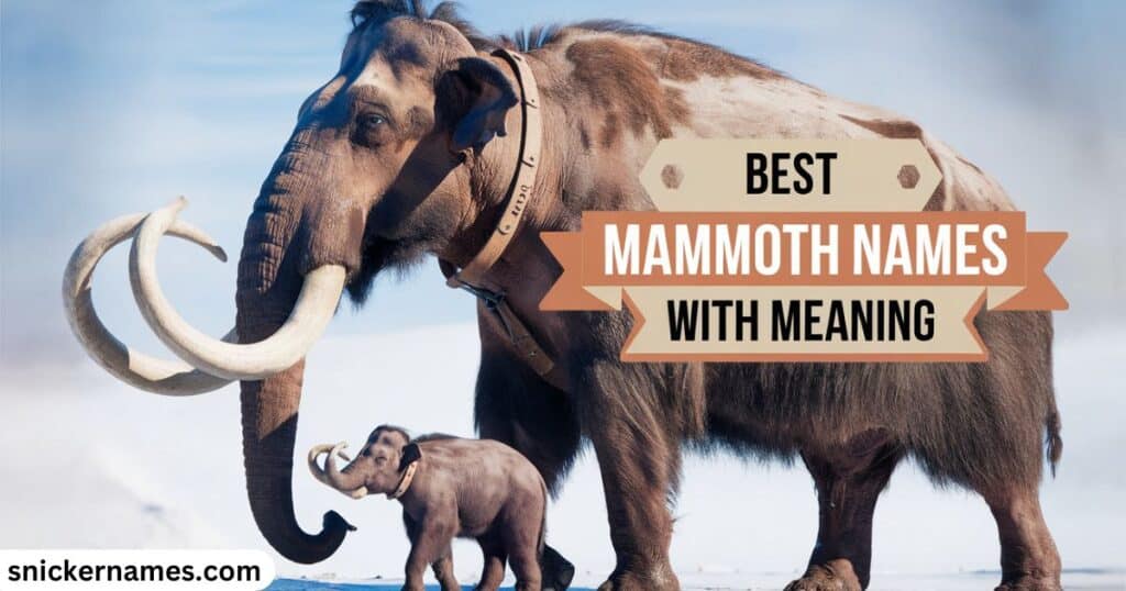 Best Mammoth Names with Meaning