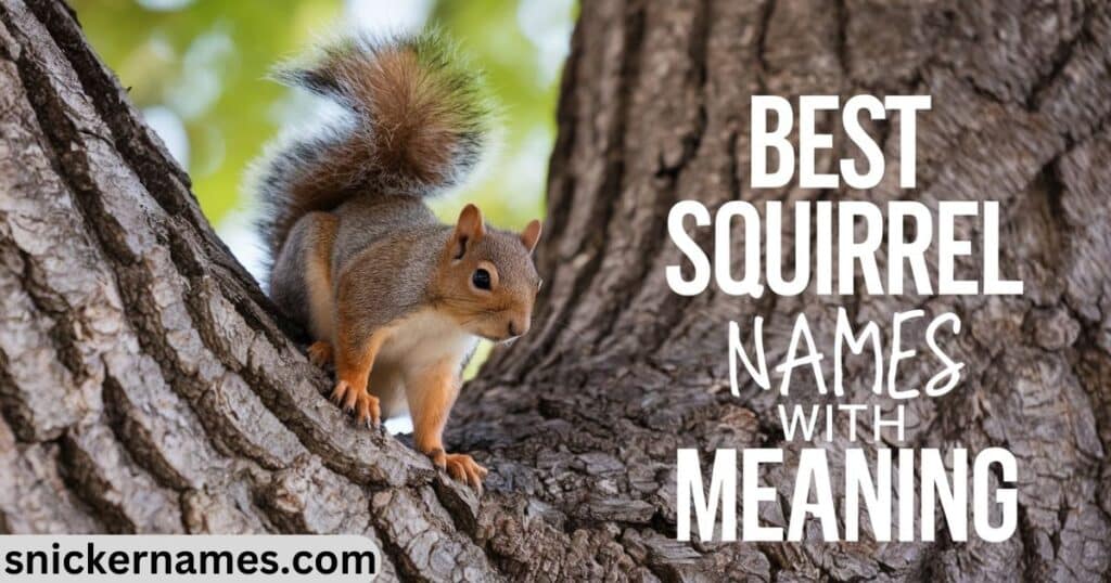 Squirrel Best Names with Meaning