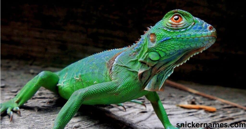 Catchy Names for Green Iguana