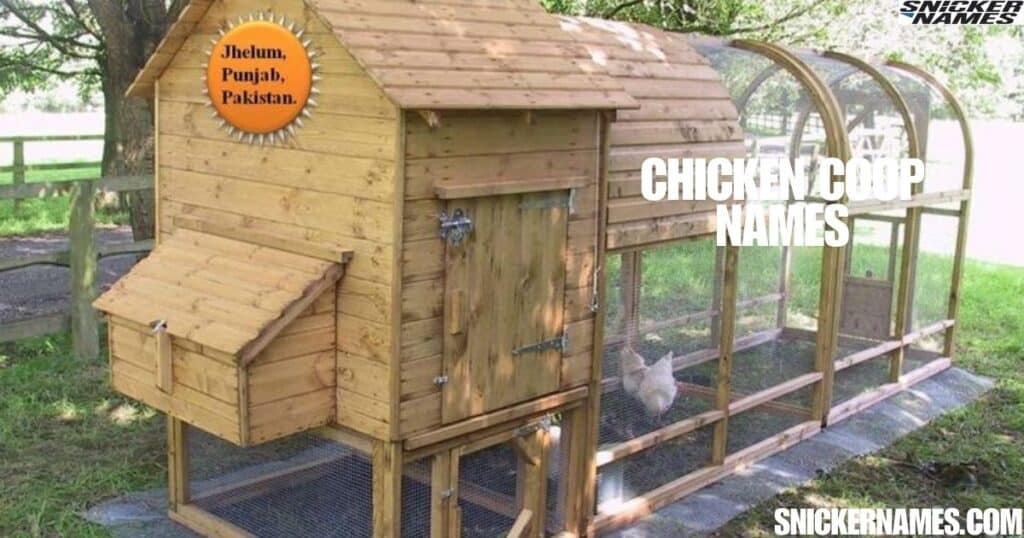 Chicken Coop Names