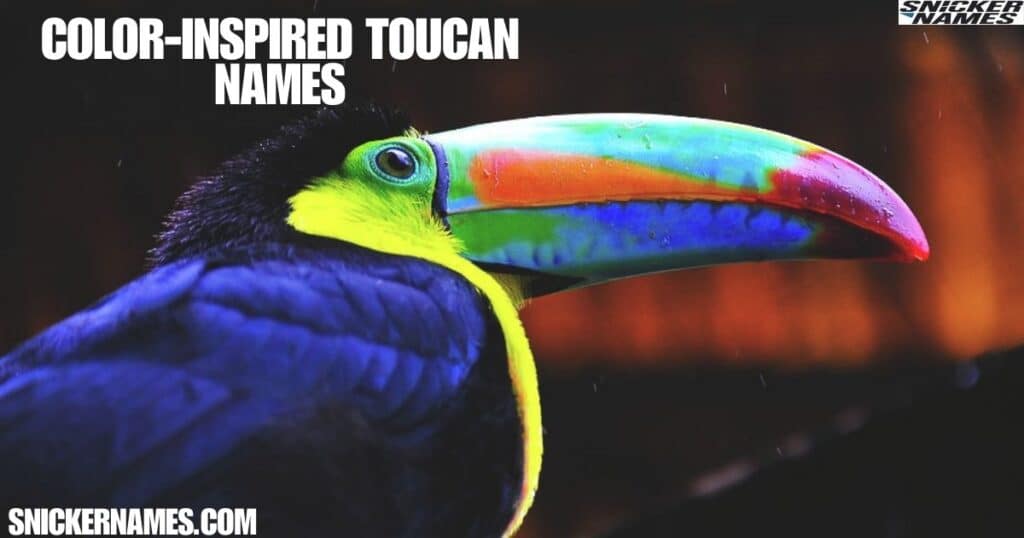 Color-Inspired Toucan Names