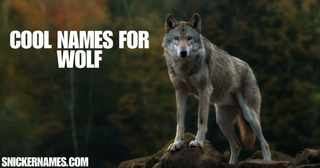 Cool Names for Wolf