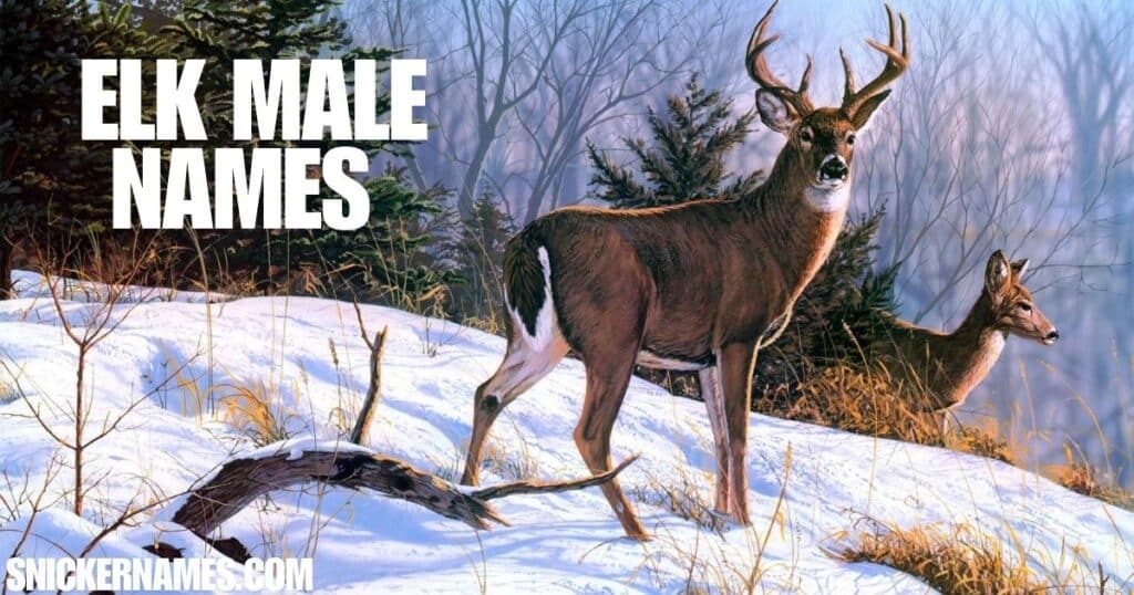 Elk Male Names