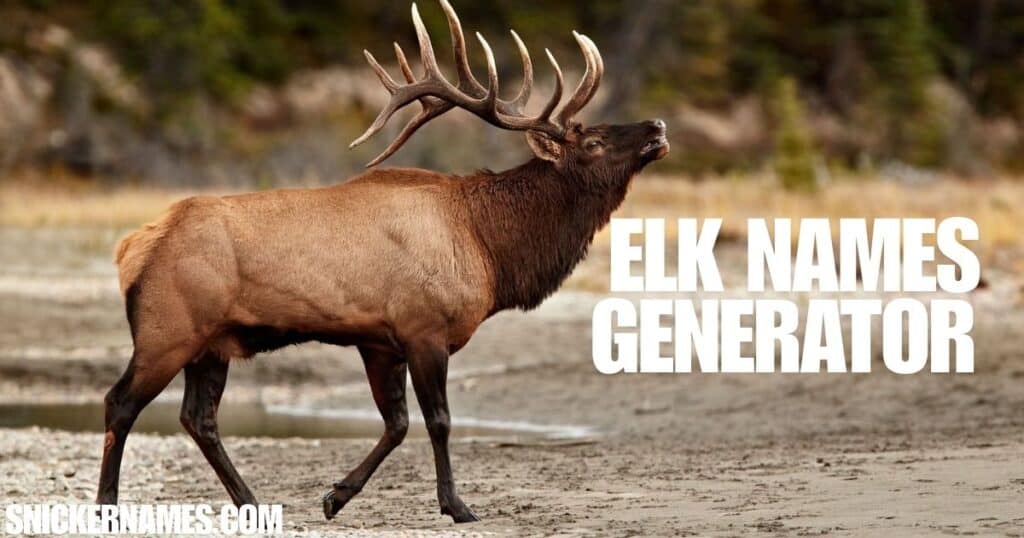 Elk Names Generator