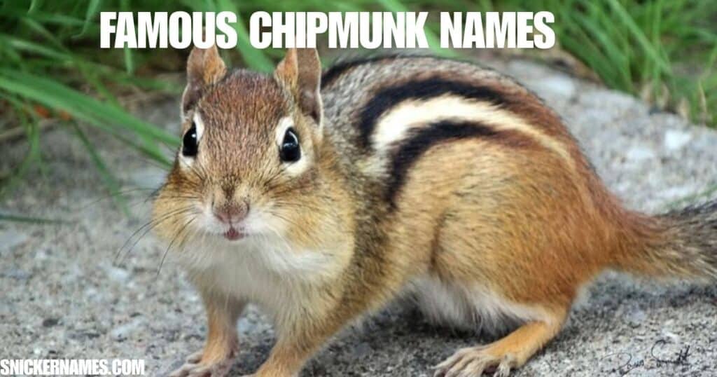 Famous Chipmunk Names