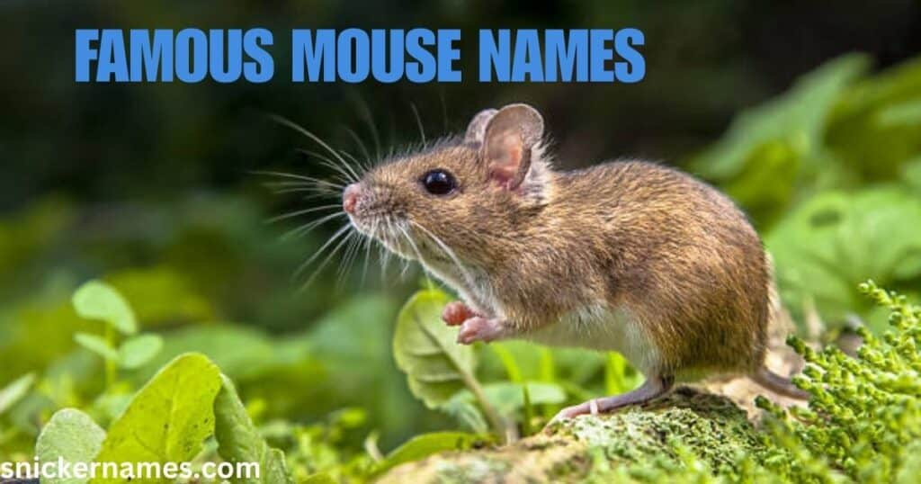 Famous Mouse Names