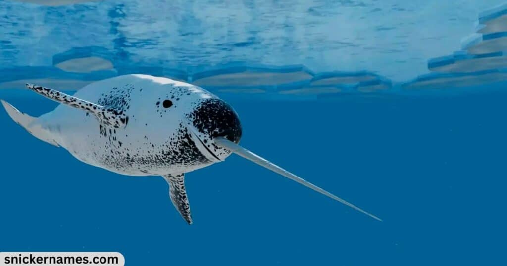 Famous Narwhal Names