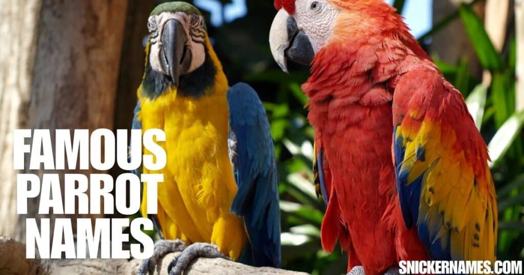 Famous Parrot Names