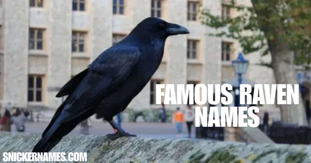 Famous Raven Names