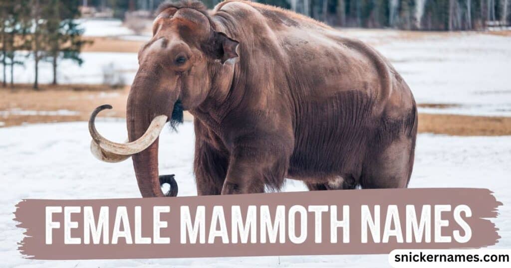 Female Mammoth Names