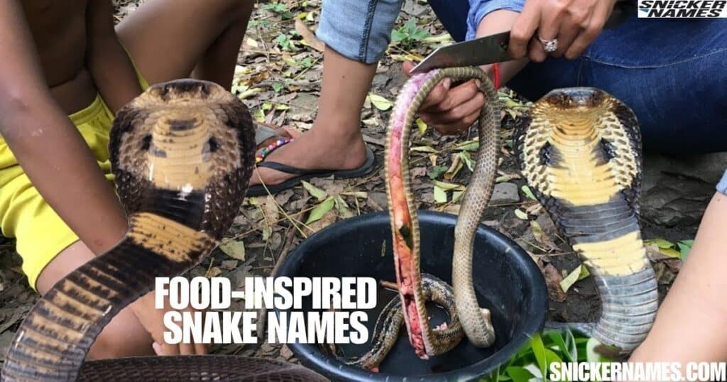 Food-Inspired Snake Names