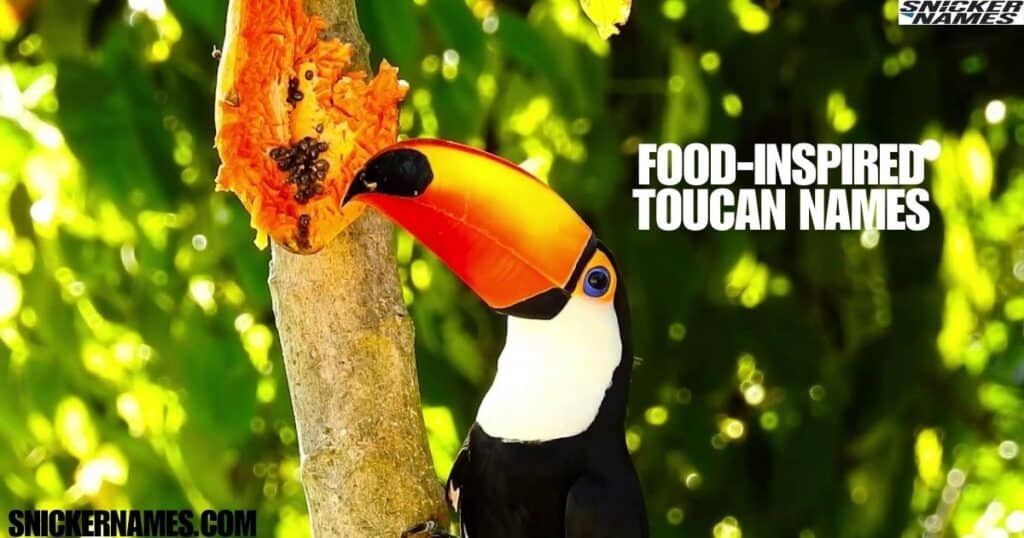 Food-Inspired Toucan Names