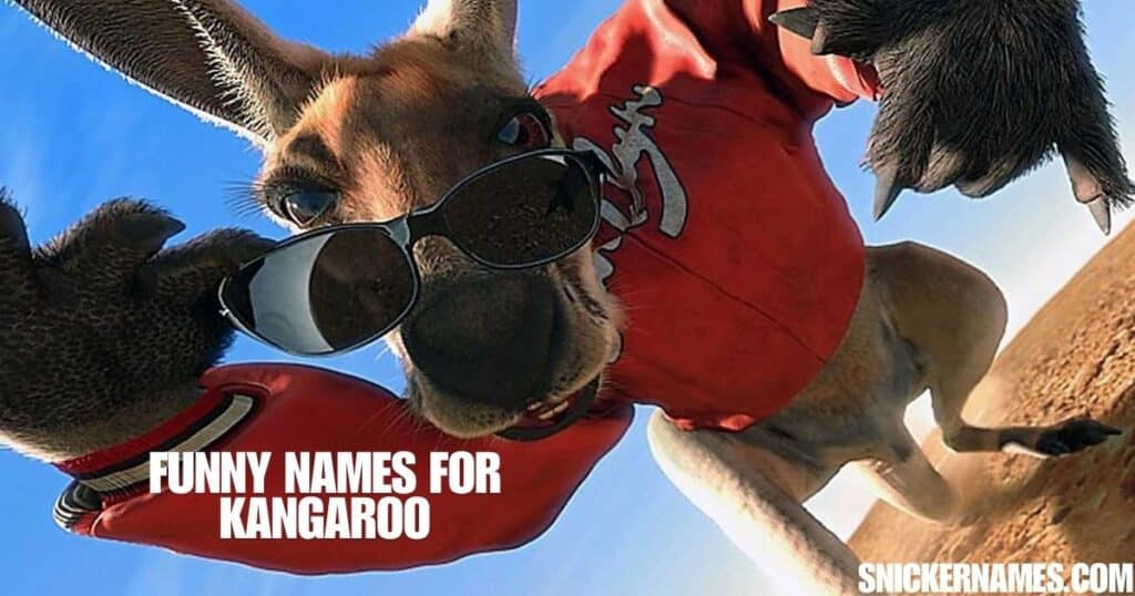 Funny Names for Kangaroo