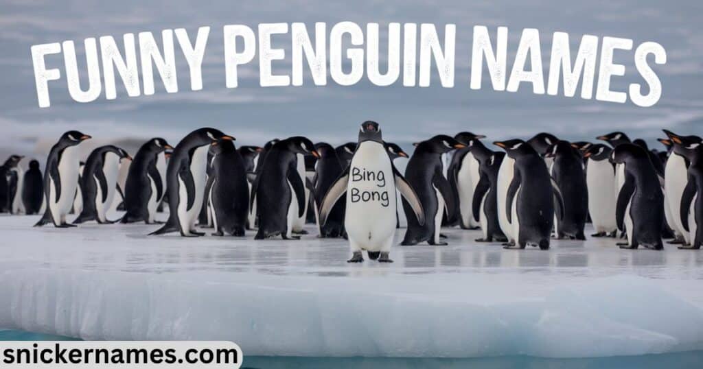 Funny Names Penguins