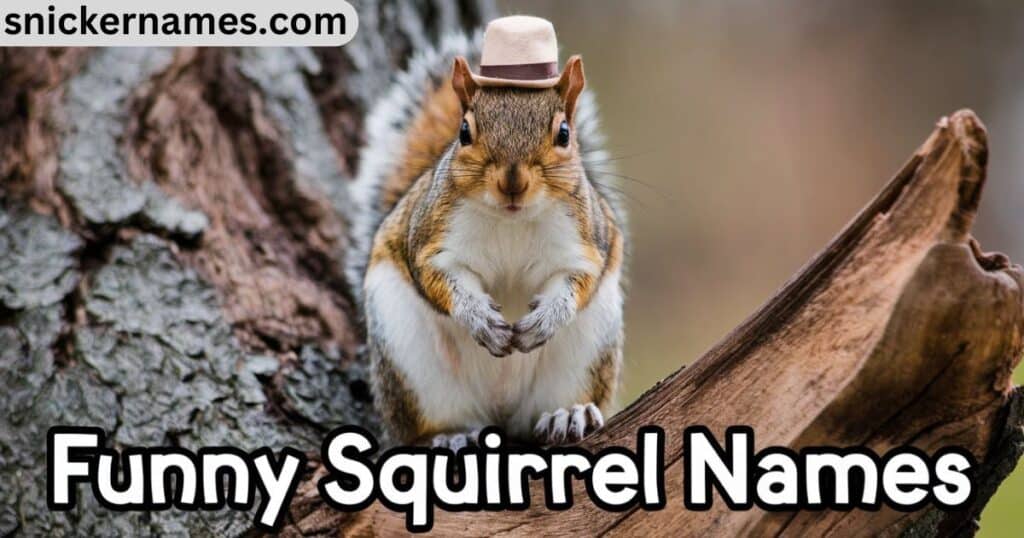 Funny Squirrel Names