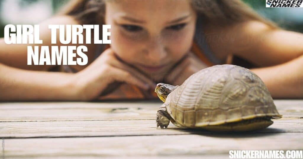 Girl Turtle Names