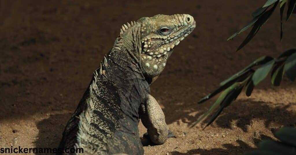 Good Iguana Names