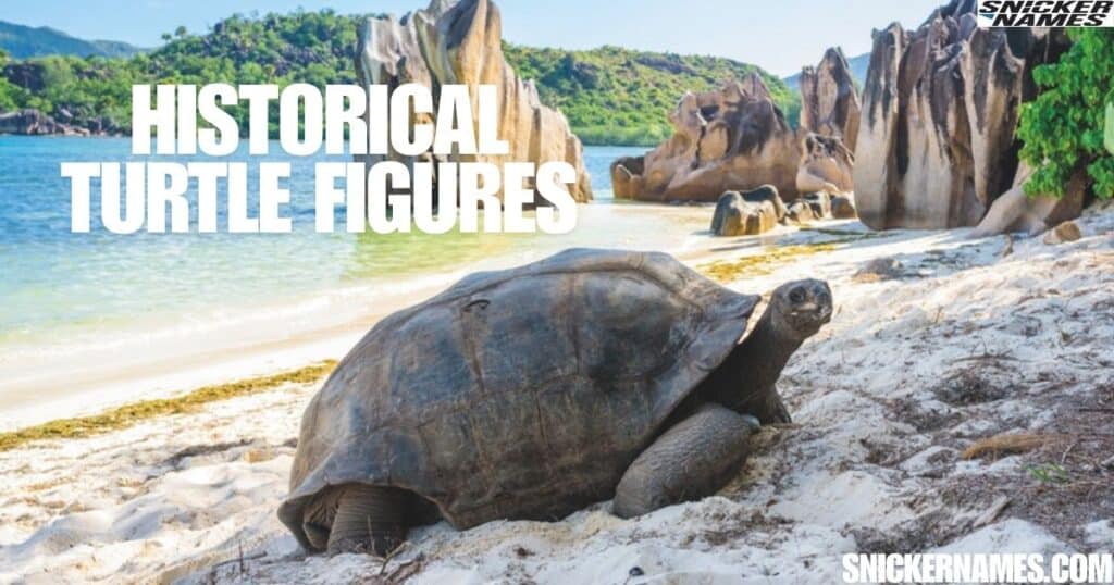 Historical Turtle Figures