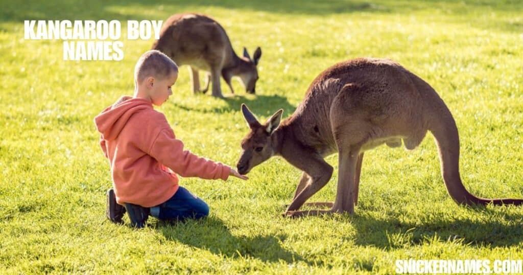 Kangaroo Boy Names