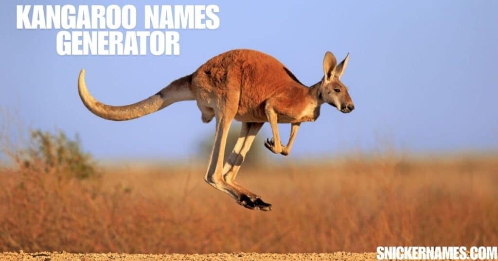 Kangaroo Names Generator