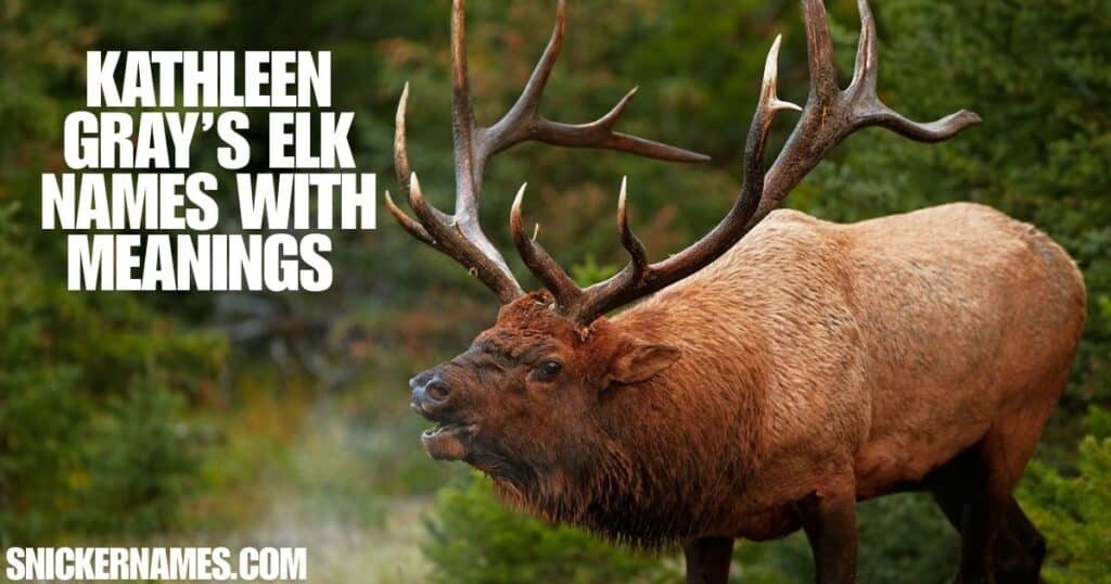 Kathleen Gray’s Elk Names with Meanings