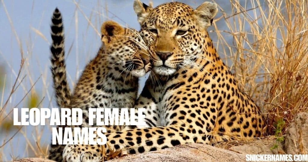 Leopard Female Names