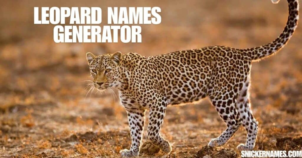 Leopard Names Generator