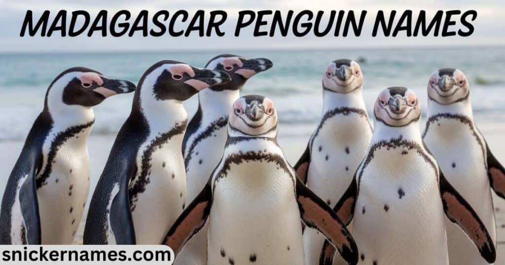 Madagascar Names Penguin