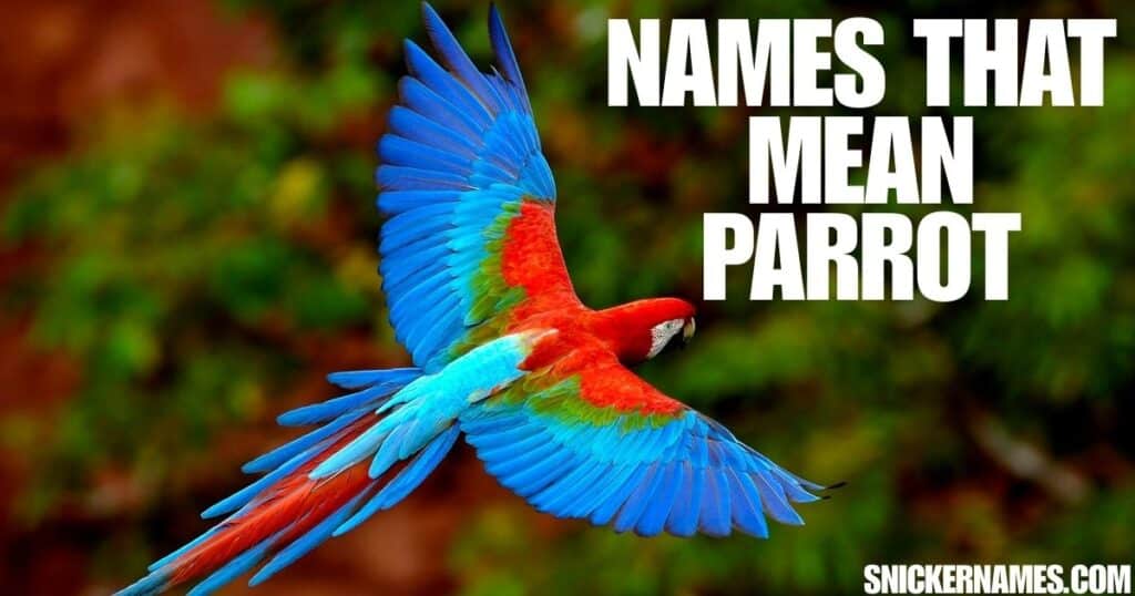 Names that Mean Parrot