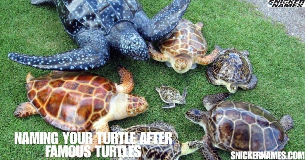 Naming Your Turtle After Famous Turtles