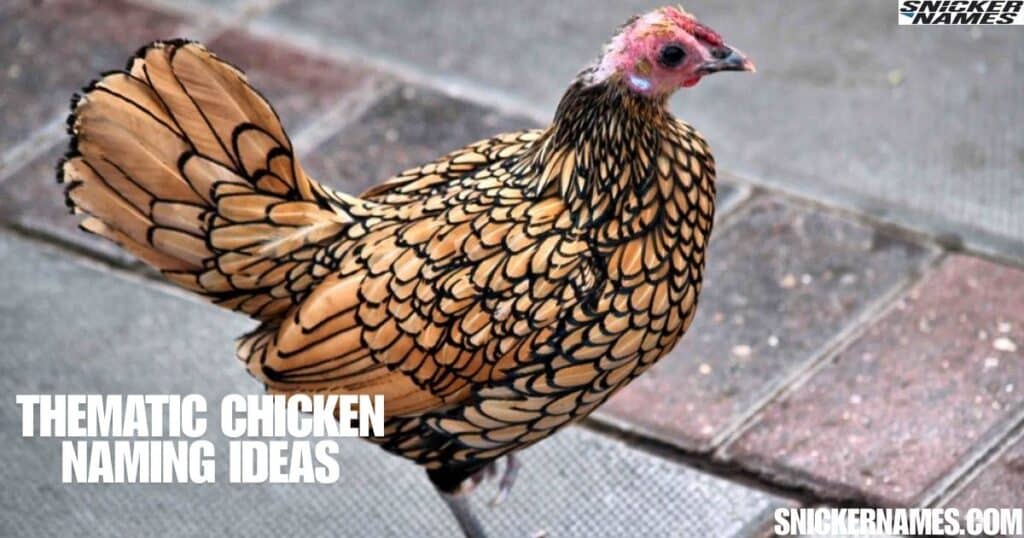 Thematic Chicken Naming Ideas