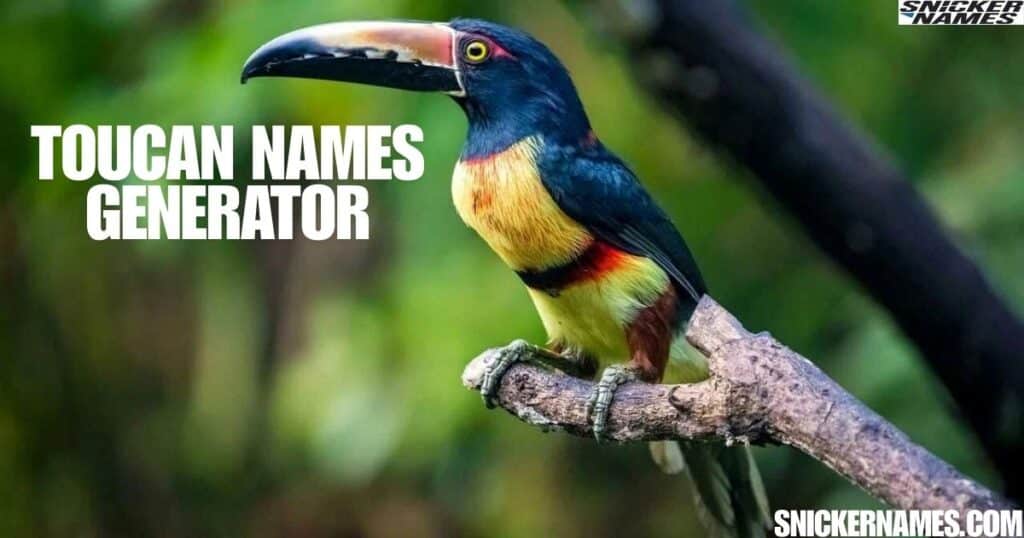 Toucan Names Generator