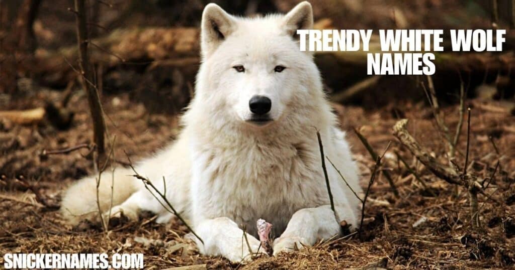 Trendy White Wolf Names