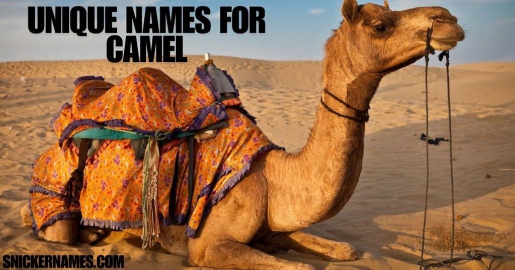 Unique Names for Camel